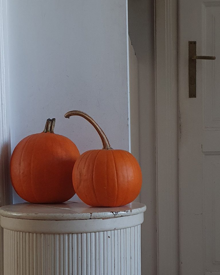 pumpkins as autumn decor